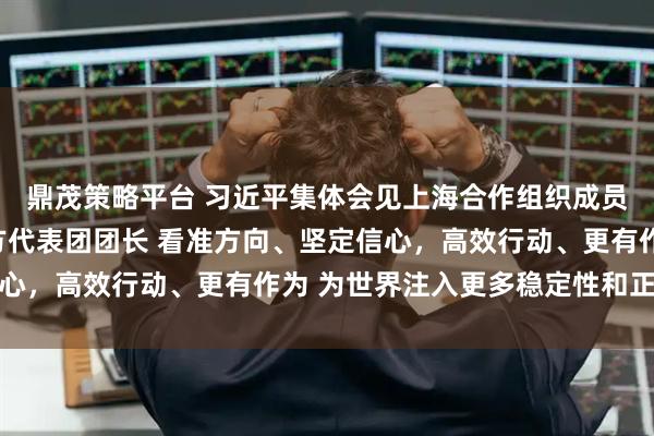 鼎茂策略平台 习近平集体会见上海合作组织成员国外长理事会会议外方代表团团长 看准方向、坚定信心，高效行动、更有作为 为世界注入更多稳定性和正能量